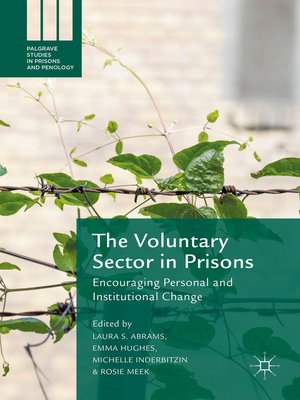 cover image of The Voluntary Sector in Prisons